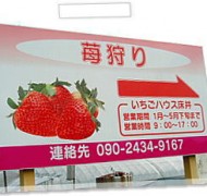 こちらも当社から歩いて行けます
「いちごハウス床井」。おいしいですよ!
シーズン中にお出掛けの際はいかがでしょうか。