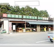 駐車場では、地元採れたてのお野菜をたくさん販売しています。
