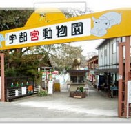 当社近くの動物園「宇都宮動物園」は遠足の場所としても人気で、沢山動物がいます!<br>
http://www.utsunomiya-zoo.com/